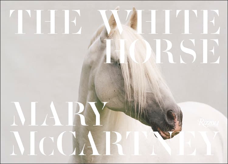 Picture of THE WHITE HORSE