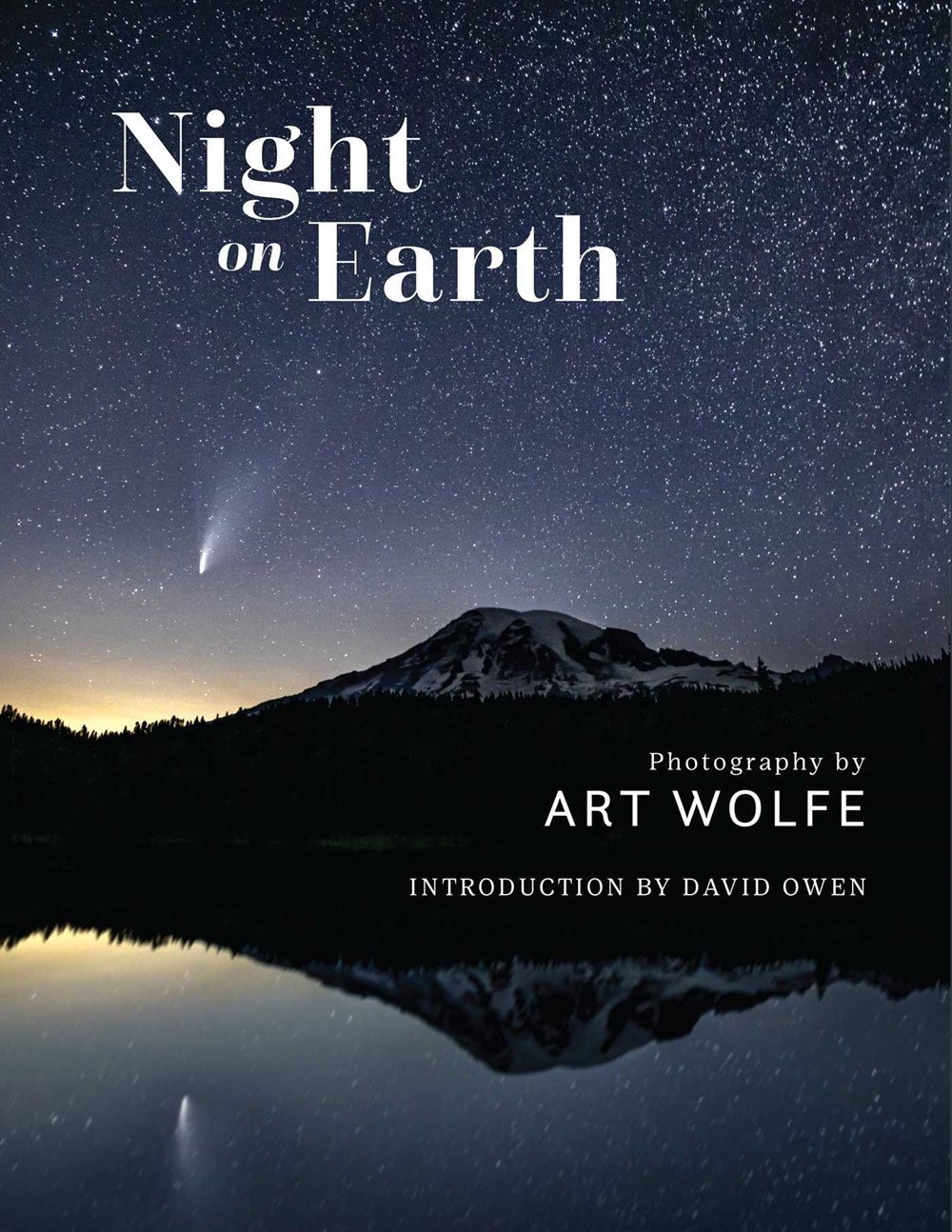 Picture of NIGHT ON EARTH