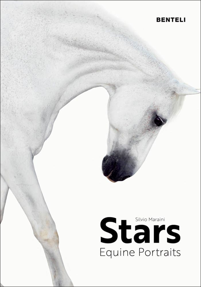 Picture of STARS: EQUINE PORTRAITS